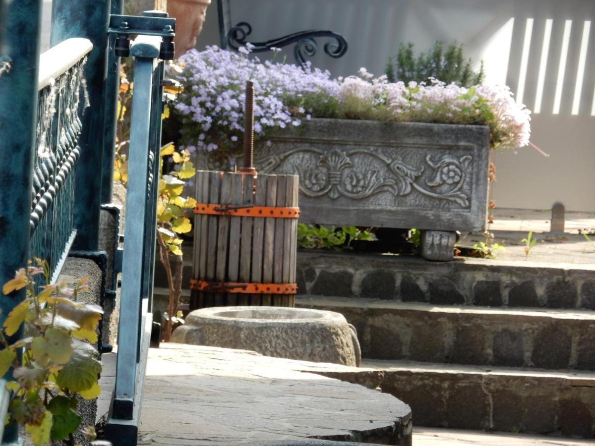 Garni Hotel Terano Maribor Eksteriør billede